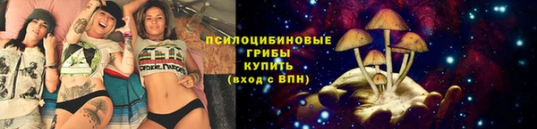 винт Покров