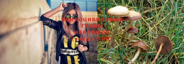 бошки Покровск
